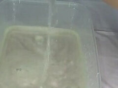 Amateur, Compilation, Nourriture, Pisser, Solo