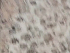 아마추어, 크고 아름다운 여자, 오랄섹스, 흑갈색 머리, 사정 샷, 집에서 만든, 인도인, 임신한