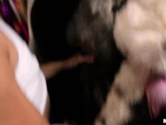 Жопа, Минет, Член, Секс без цензуры, На публике, Киски, Молоденькие