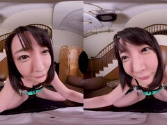 Ázsiai, Tekintélyes didik, Kebles, Japán, Természetes mellek, Nézőpont, Valóság, Begyek