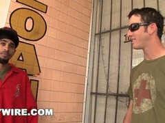 Černé, Táta, Ebenové, Gay