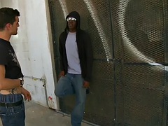 Passive black gay getting his ass filled by a big white cock