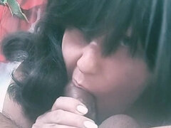 Amatør, Kukk suging, Runke, Hjemmelaget, Inder