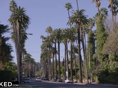 Grosser schwanz, Schwarz, Blasen, Interrassisch, Lecken, Muschi, Reiten, Ablutschen