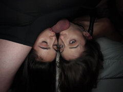 Kotě, Kondom, Výprask, Kalhotky, Vyholené, Vyhublá, Teenka, Kozičky