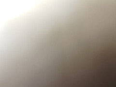 Amatør, Bløtkake, Inder, Fitte