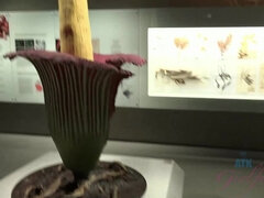 Amaterji, Rjavolaska, Girlfriend, Zunaj, Prvoosebno snemanje seksa, V javnosti, Kajenje, Joške