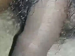 Amatööri, Karvainen, Intialainen