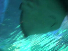 Amatør, Blondine, Kæreste, Briller, Pov, Fisse, Mager, Sover