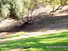 Team switching for a big black cock