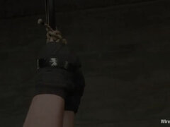 Bondage disciplina dominação submissão sadismo e masoquismo, Mulher dominante, Masturbação, Humilhação, Lésbica, Punição, Xoxota, Escravoa