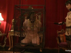 Anaali, Sitominen alistaminen sadomasokismi masokismi, Sidonta, Nöyryytys, Rankaiseminen, Rajua, Orja, Kolmen kimppa