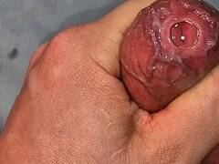 Leie, Grosser schwanz, Spermaladung, Schwul, Masturbation, Reif, Penis, Solo