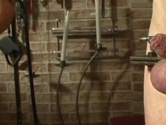 Dildo, Ansikte sitter, Femdom, Handjobb, Latex, Massage, Prostata, Slav