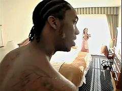 Amatéri, Kuřba, Latinskej, Dospelé