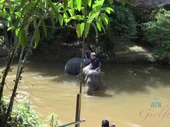 Amateur, Sucer une bite, Éjaculer dans la bouche, Petite amie, De plein air, Pov, Public, Chatte