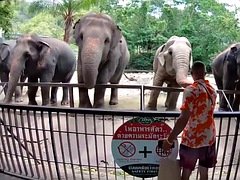 Amatör, Asiatisk, Avsugning, Hardcore, Pov, Thai