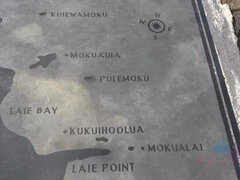 Amatør, Bikini, Pik sutte, Creme tærte, Kæreste, Strittende brystvorter, Fisse, Bryster