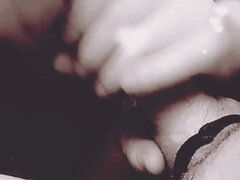 Amerikansk, Pik sutte