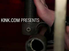 Anal, Svart, Blond, Kukk suging, Føtter, Latex, Smerte, Tattovering