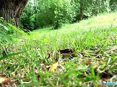 Amatéri, Hd, Peniaze, Vonku, Z pohľadu účastníka, Na verejnosti, Realita