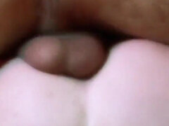 Gros seins, Sucer une bite, Mère que j'aimerais baiser, Nylon