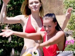 Anál, Veľké péro, Čierne, Brunetka, Orgie, Vonku, Kozičky