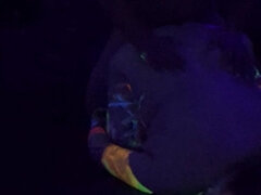 Толстушки, Парочка, Фетиш, Домашнее видео, Связанные