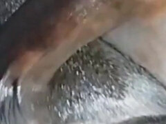 Britisk, Sperm skott, Onani