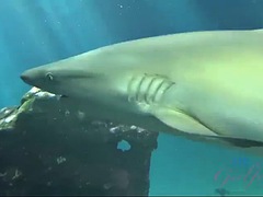 Пляж, Бикини, Брюнетки, Порнозвезда, От первого лица, Бритые, Душ, Курящие