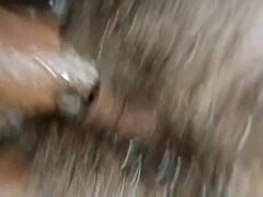 18, 아시안, 큰 엉덩이, 웃긴, Hd, 다른 인종간의, 돈, 나체의