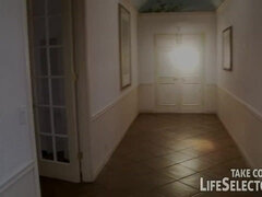 Kotě, Kuřba, Nohy, Hd, Různé pohledy