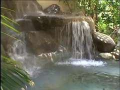 Anál, Blondína, Dvojitá penetrácia, Medzirasové