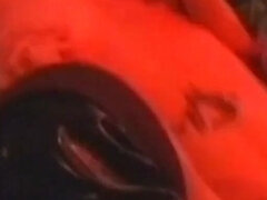 Anal, Store pupper, Kukk suging, Orgie, Shemale, Vintage