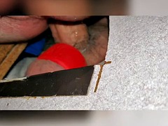 Vagina gozada cu gozado, Gay bicha veado