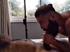 Velké péro, Hardcore, Shemale