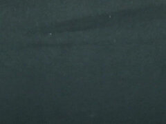 Amatőr, Popó, Hatalmas hátsó, Szőrös, Nézőpont, Egyedül