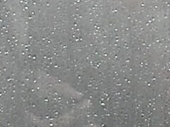 Vessa, Iso kulli, Musta, Käsihoito, Itsetyydytys, Vanhempi, Soolo