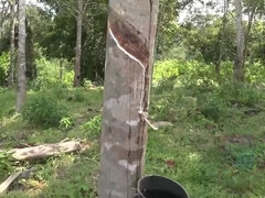 素人, 茶髪の, Hd, アウトドア, 放尿, ハメ撮り, シャワー, 喫煙