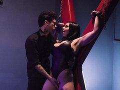 Veľké kozy, Kuřba, Brunetka, Na psíka, Dominancie, Honění, Orgazmus, Pornstars