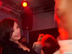 Zadok, Prsnatá, Fetiš, Gangbang, Medzirasové, Dospelé, Orgie, Na verejnosti