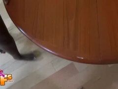 Černé, Kuřba, Ebenové, Na obličej, Kuchyně, Masturbace, Realita, Vyholené