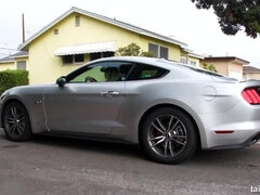 Blond, Brunette, Hardcore, Lesbisk, Slikking, Onani, Fitte, Strømper