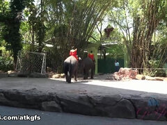 Jamie Marleigh in Jamie Gets To Meet Giraffes Face To Face To Feed Them - ATKGirlfriends