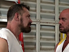 Grosse bite, Homosexuelle, Muscle, Épouse