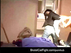 whorish room mates ladies rock-hard catfighting for a ring