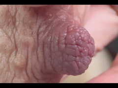 Amatéři, Bradavky, Sólo, Kozičky