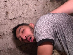 Anal, Kukk suging, Fransk, Homofil, Trekant