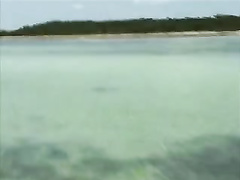 Strand, Pornostjerner