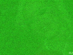 Loiroa, Jato de porra, Facial